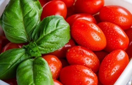 Da oggi in regalo con La Nuova Periferia di Settimo il “pomodoro nano Rio Grande”