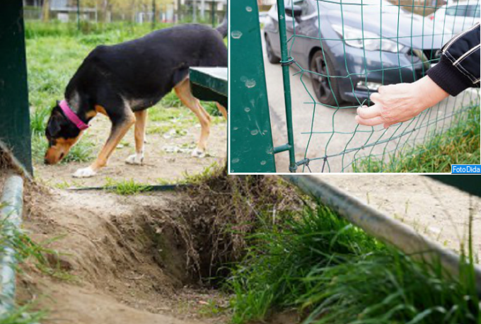 “L’area cani di via Borsellino è abbandonata: servono interventi immediati”