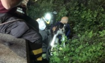 Cucciolo si perde e rimane incastrato tra i rovi: salvato dai Vigili del fuoco
