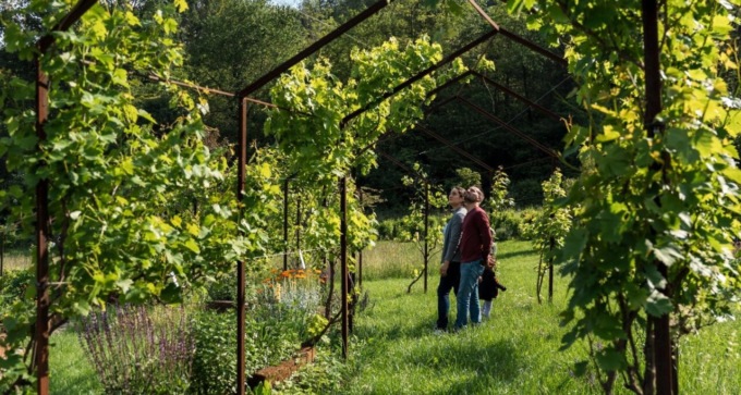 Il comune di San Mauro lancia il concorso “Un metro quadrato di giardino”