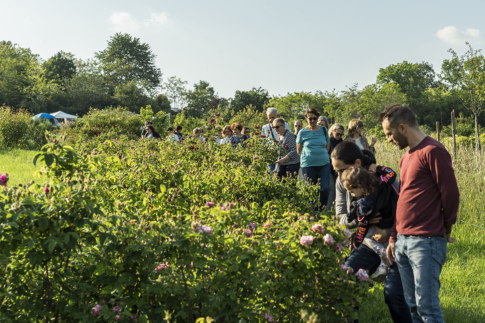 La seconda edizione del Festival del Verde – La città della piante