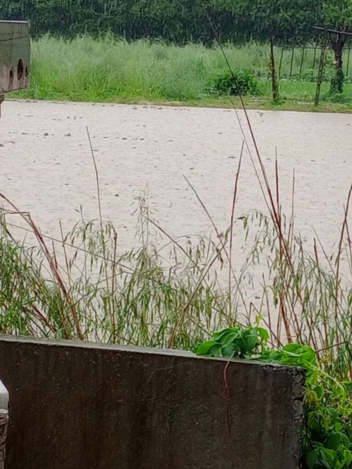 Allagamenti nelle campagne torinesi: “Raccolto in buona parte compromesso”