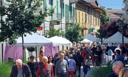 Settimo Torinese, torna la Fera d’l Arlev: sapori, bancarelle e tradizioni nel cuore della città