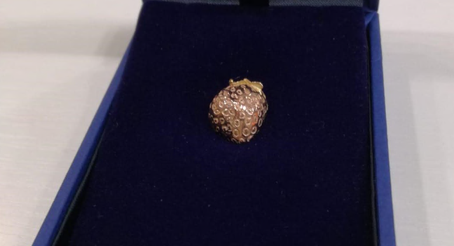 San Mauro e la Fragolina d’oro 2024: ecco a chi andrà il riconoscimento