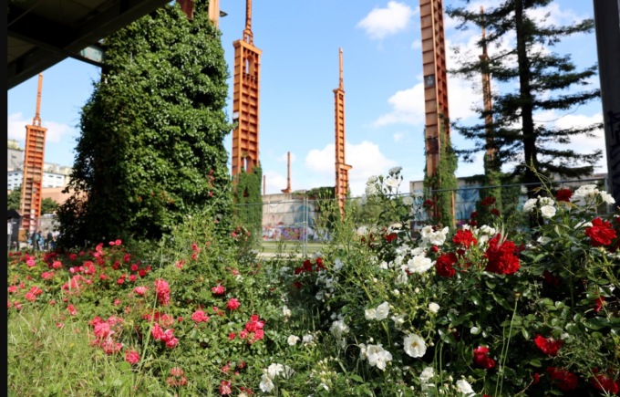 Al Parco Dora rinasce l’area del Roseto