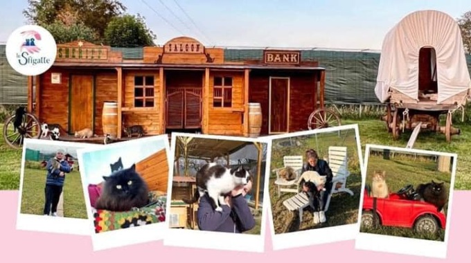 Gassino: si cercano volontari per il rifugio “Le sfigatte”