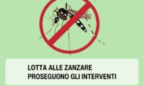 Settimo e San Mauro dichiarano guerra alle zanzare