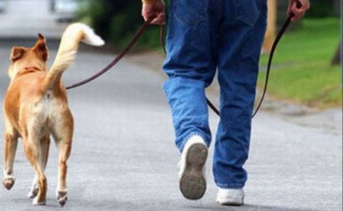 Va a spasso col cane mentre è ai domiciliari