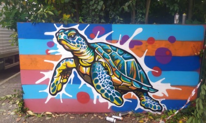 San Mauro, nuovo murale: al parco Antonelli è spuntata una "tartaruga gigante"