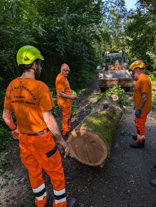 Grossa pianta blocca la strada in collina
