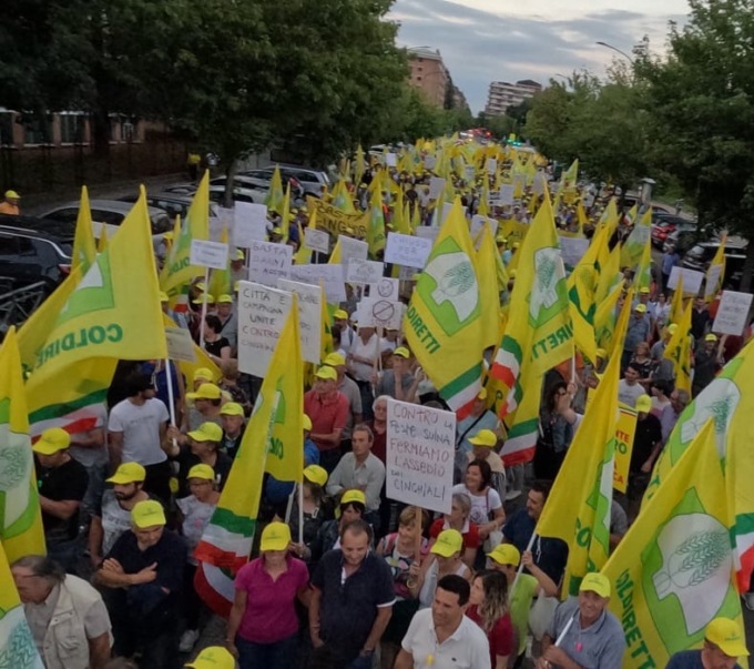 Coldiretti Piemonte: oltre 6mila agricoltori per dire “Basta cinghiali”