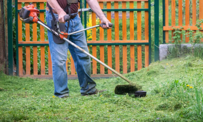 “Ecco perché abbiamo deciso di modificare la gestione del verde a Settimo”