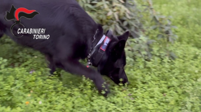 Scoperto un maxi “servizio delivery della droga” che riforniva anche Settimo