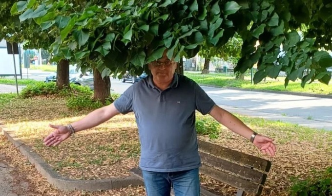 La segnalazione di FdI: a Borgo Nuovo alberi pericolosi e troppo “invadenti”