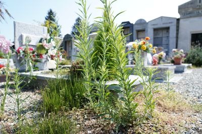 Cimitero chiuso a Gassino due giorni