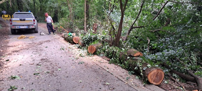 Gassino: il maltempo abbatte diversi alberi