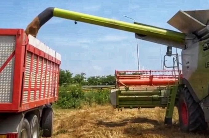 A Settimo 20 quintali di grano dal terreno confiscato alla mafia