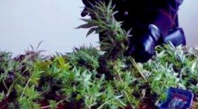 Settimo: litiga con la compagna, intervengono i carabinieri e spunta della droga