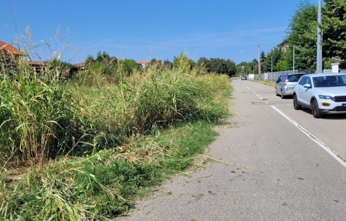 L’erba alta a Settimo finisce in tv: insorge l’opposizione