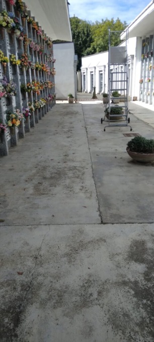 Sciolze, atto incivile al cimitero: “Hanno defecato in un vaso di fiori”