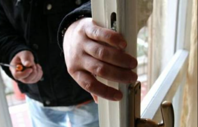 Topi d’appartamento in azione a Gassino