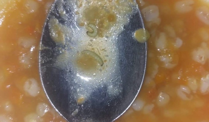 Vermi nei pasti a scuola, parla la ditta: “Contaminazione grave ma nessun rischio per la salute”