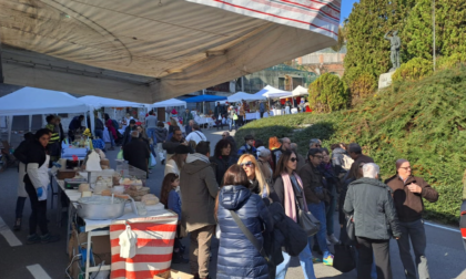 Cosa fare a Settimo Torinese e dintorni nel fine settimana: gli eventi dell’8 e 9 novembre