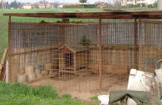 “Alla periferia di Settimo ci sono cani detenuti in box fatiscenti e isolati”