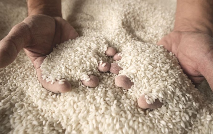 Il 2025 è l’anno del riso italiano