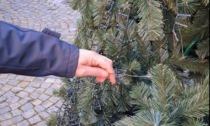 A Gassino i vandali strappano le luminarie dell'albero di Natale