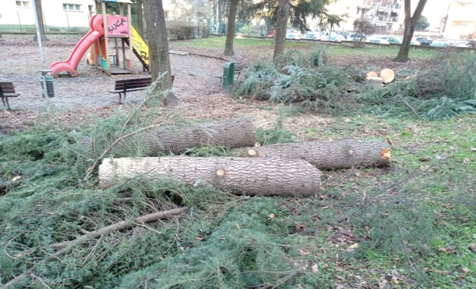 Settimo: proteste per gli abbattimenti al Giardino delle lavandaie