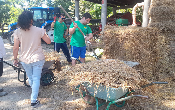 Nasce l’elenco delle fattorie sociali: 19 nel Torinese, una a Settimo e una a San Mauro