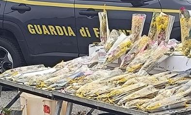 Settimo Torinese, vendeva mimose abusivamente: multa da 5mila euro
