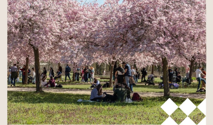 Boom di visitatori alla Reggia di Venaria: oltre 100mila presenze in due settimane