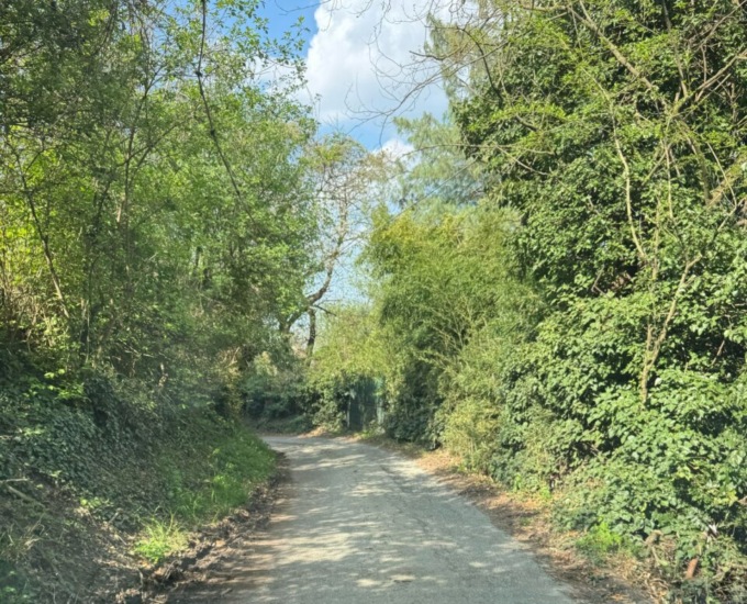 Strada Trinità, serve davvero più sicurezza