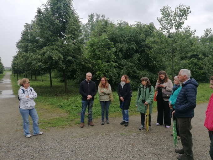 Il Piano del Verde, lo strumento per curare i polmoni della città