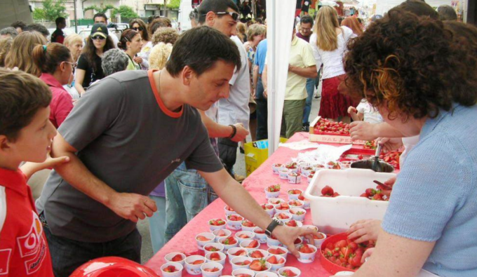 Cosa fare a Settimo Torinese nel fine settimana: gli eventi del 24 e 25 maggio