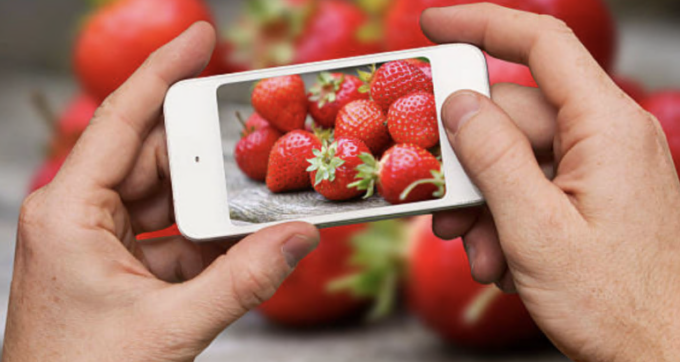“Obbiettivo Fragola”: a San Mauro il contest fotografico che unisce la comunità