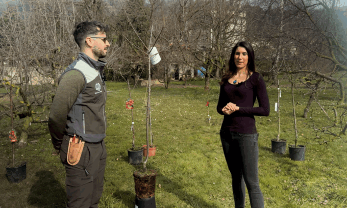 Coltivare piante in vaso? Prestiamo molta attenzione alla scelta in vivaio