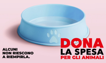 Sabato 12 luglio torna la raccolta alimentare “Dona la Spesa per gli amici animali”