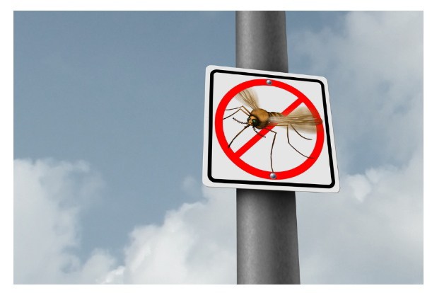 Allerta West Nile Virus 2025 dopo la positività riscontrata a San Mauro Torinese