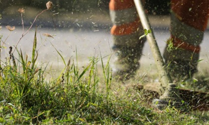 Verde Pubblico, il piano del Comune