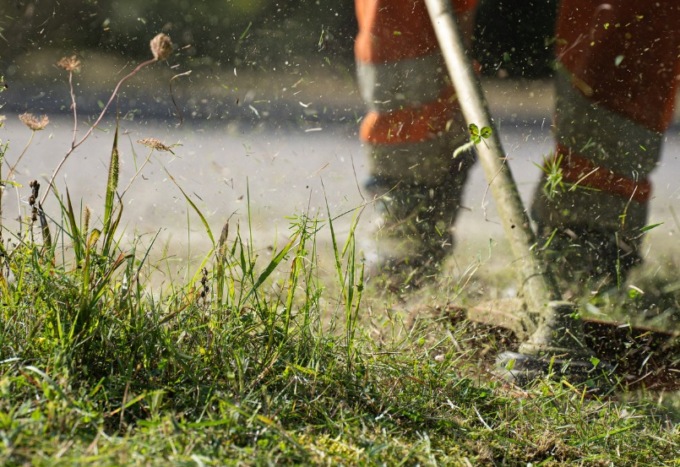 Verde Pubblico, il piano del Comune