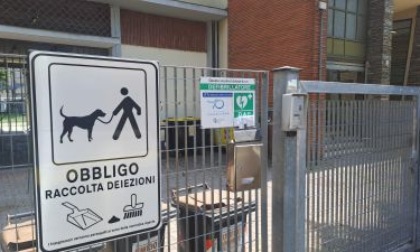 Deiezioni canine, ora la pipì va lavata