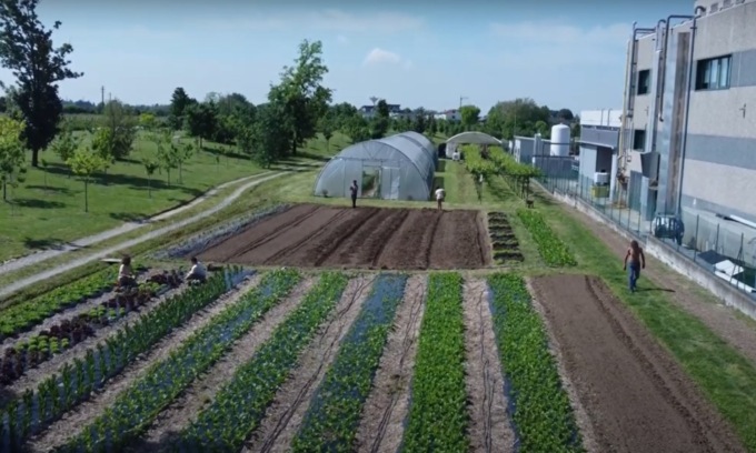 Orti sociali: luoghi di aggregazione, rinascita e di educazione ambientale