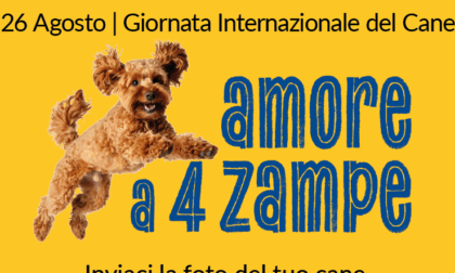 Giornata del cane: mandaci la foto del tuo amico Fido e la pubblicheremo sul giornale