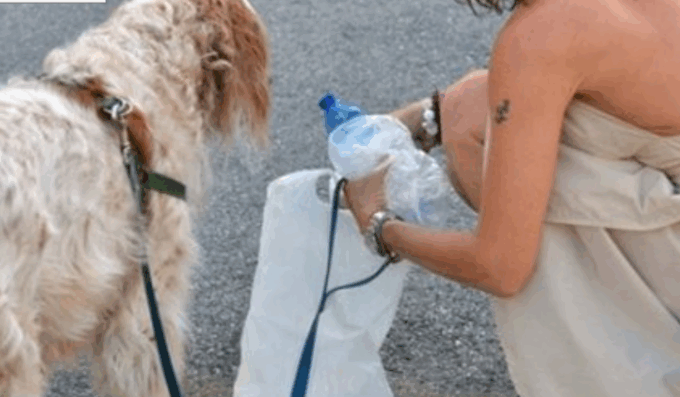 Gassino, stretta sui padroni che non raccolgono le deiezioni dei cani