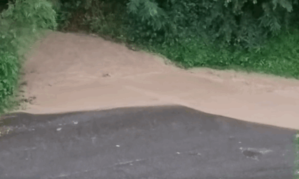 Maltempo: allagamenti e piante cadute tra Settimo, San Mauro e la Collina