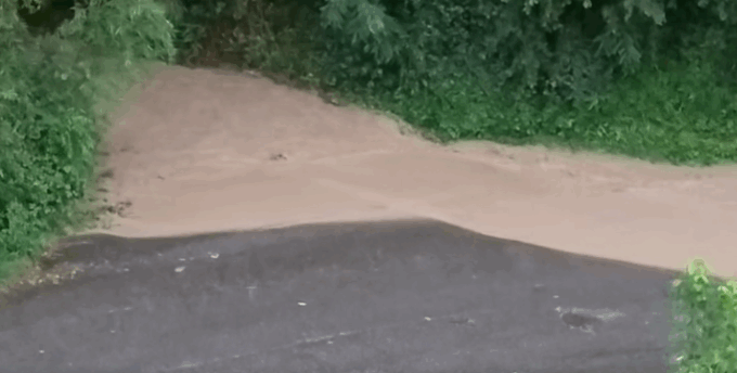Maltempo: allagamenti e piante cadute tra Settimo, San Mauro e la Collina