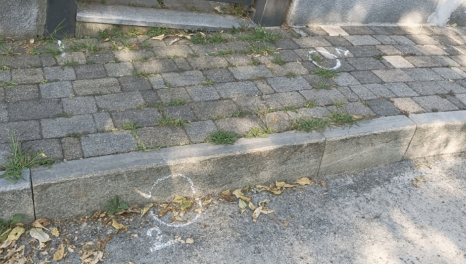 San Raffaele, assalto in villa: bastonate, spari e rapinatori in fuga